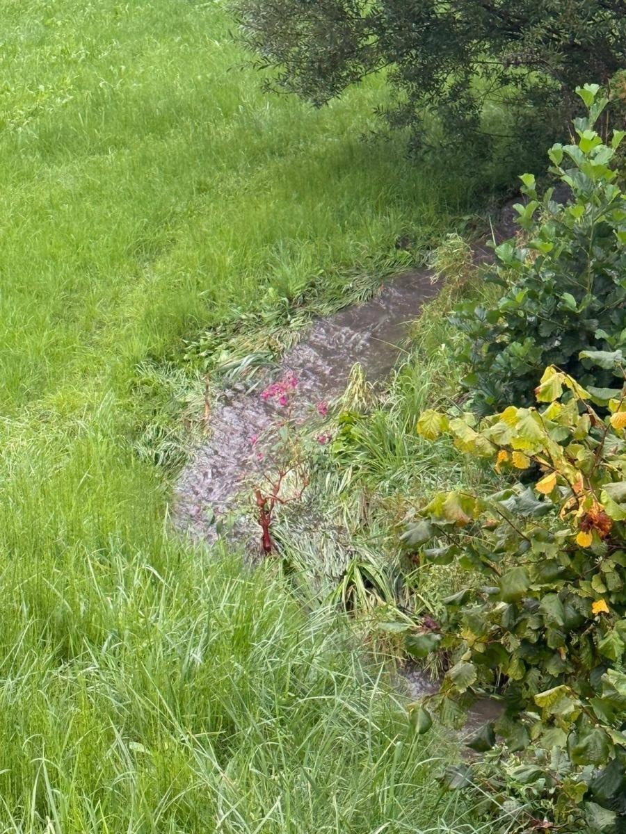 Zdjęcie w galerii na portalu naszwodzislaw.com: Ciągle pada... Monitoring sytuacji hydrologicznej w gminie Mszana [FOTO] wiadomości z regionu