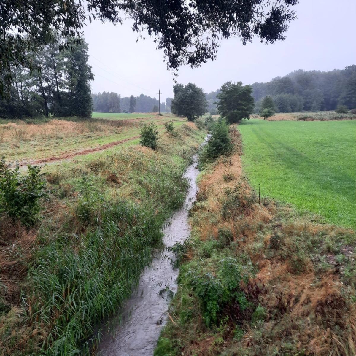Zdjęcie w galerii na portalu naszwodzislaw.com: Ciągle pada... Monitoring sytuacji hydrologicznej w gminie Mszana [FOTO] wiadomości z regionu