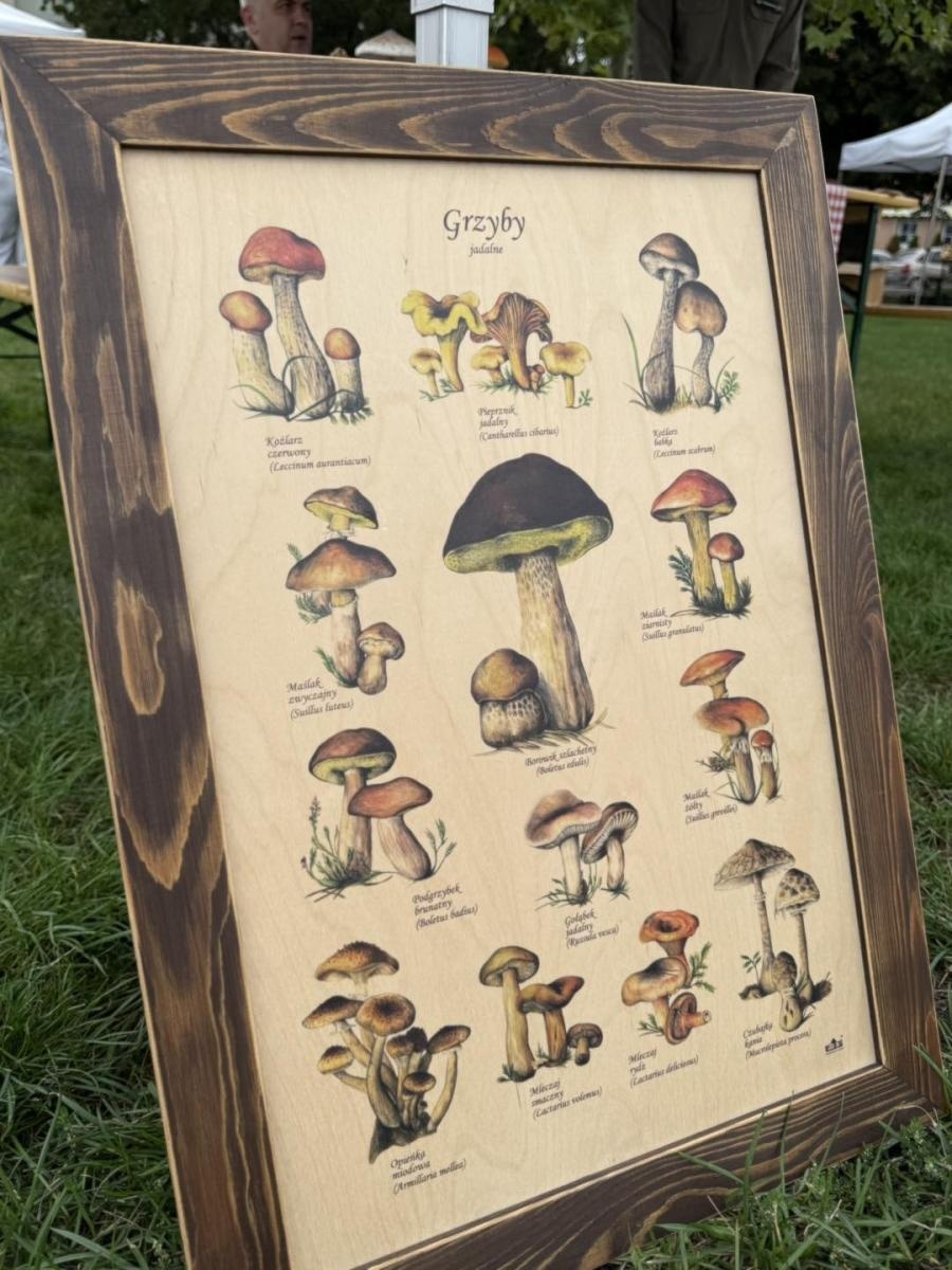 Zdjęcie w galerii na portalu naszwodzislaw.com: DzieJesie(ń) Festiwal w Wodzisławiu Śląskim. Święto jesieni pełne atrakcji [FOTO] wiadomości z regionu