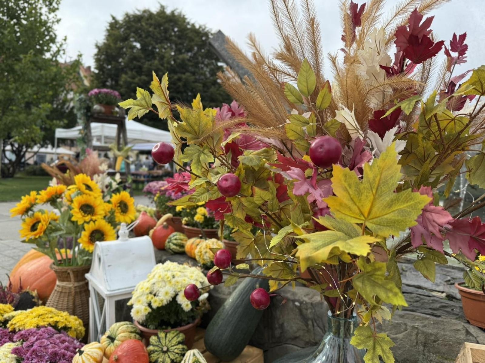 Zdjęcie w galerii na portalu naszwodzislaw.com: DzieJesie(ń) Festiwal w Wodzisławiu Śląskim. Święto jesieni pełne atrakcji [FOTO] wiadomości z regionu