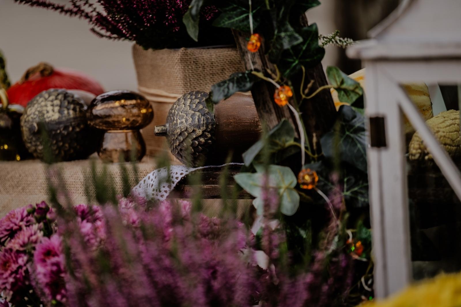 Zdjęcie w galerii na portalu naszwodzislaw.com: DzieJesie(ń) Festiwal w Wodzisławiu Śląskim. Święto jesieni pełne atrakcji [FOTO] wiadomości z regionu