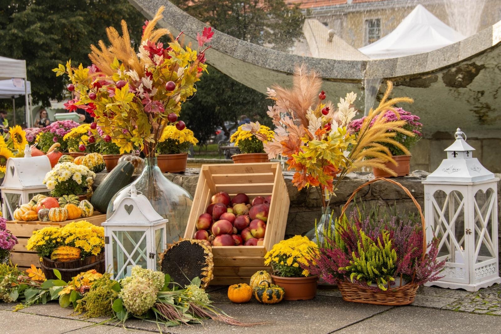 Zdjęcie w galerii na portalu naszwodzislaw.com: DzieJesie(ń) Festiwal w Wodzisławiu Śląskim. Święto jesieni pełne atrakcji [FOTO] wiadomości z regionu