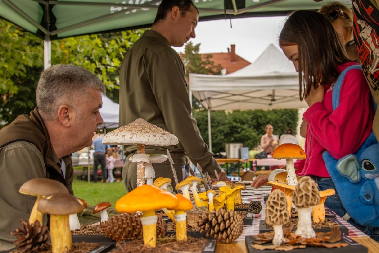 Zdjęcie w galerii na portalu naszwodzislaw.com: DzieJesie(ń) Festiwal w Wodzisławiu Śląskim. Święto jesieni pełne atrakcji [FOTO] wiadomości z regionu
