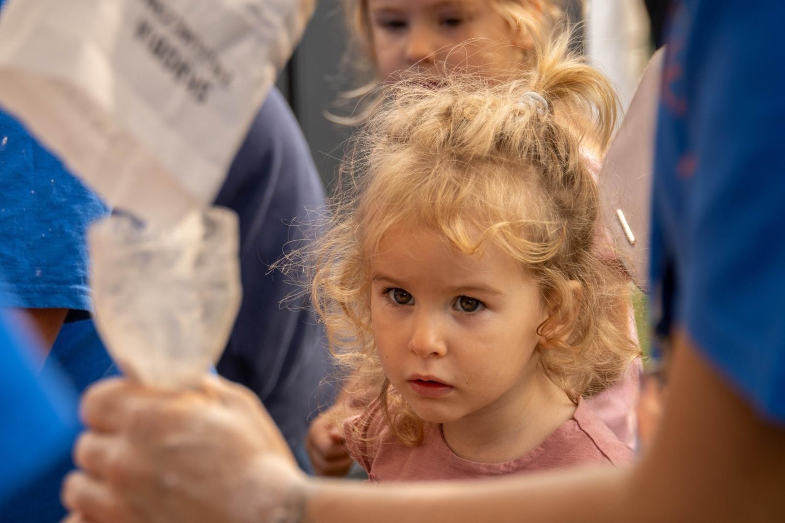 Zdjęcie w galerii na portalu naszwodzislaw.com: DzieJesie(ń) Festiwal w Wodzisławiu Śląskim. Święto jesieni pełne atrakcji [FOTO] wiadomości z regionu