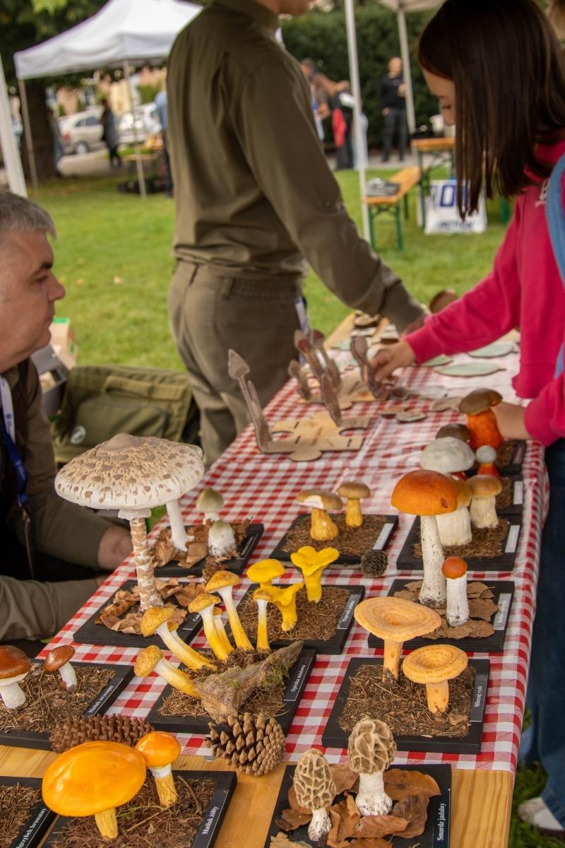 Zdjęcie w galerii na portalu naszwodzislaw.com: DzieJesie(ń) Festiwal w Wodzisławiu Śląskim. Święto jesieni pełne atrakcji [FOTO] wiadomości z regionu