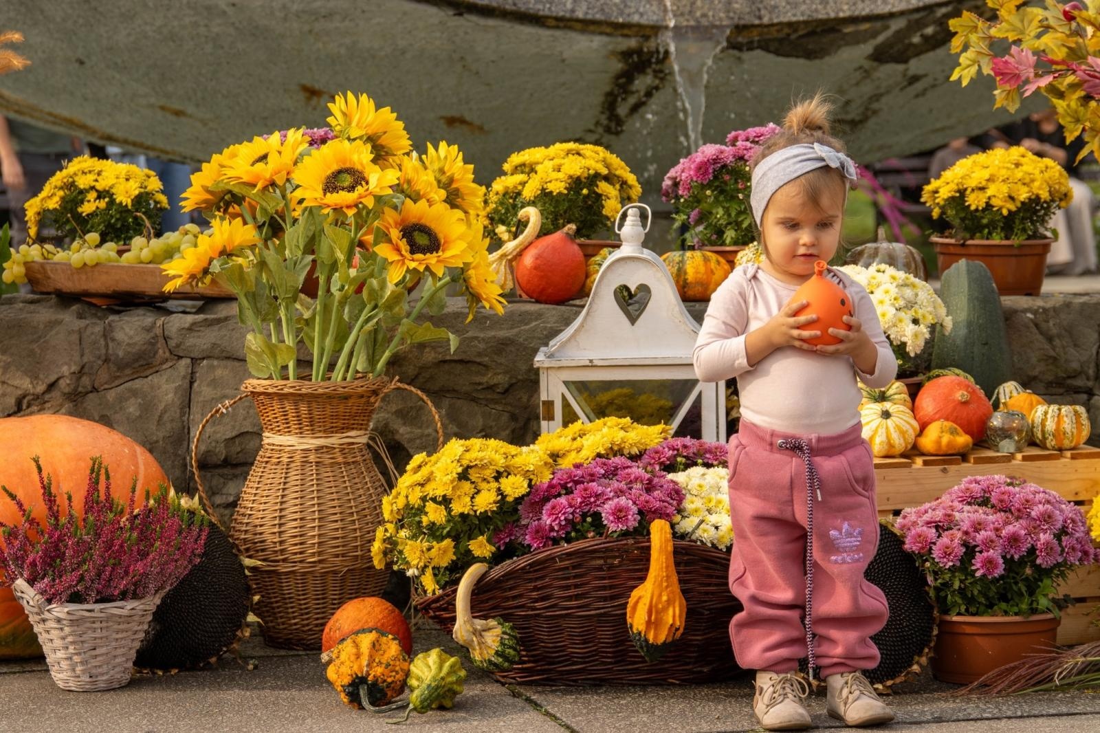 Zdjęcie w galerii na portalu naszwodzislaw.com: DzieJesie(ń) Festiwal w Wodzisławiu Śląskim. Święto jesieni pełne atrakcji [FOTO] wiadomości z regionu
