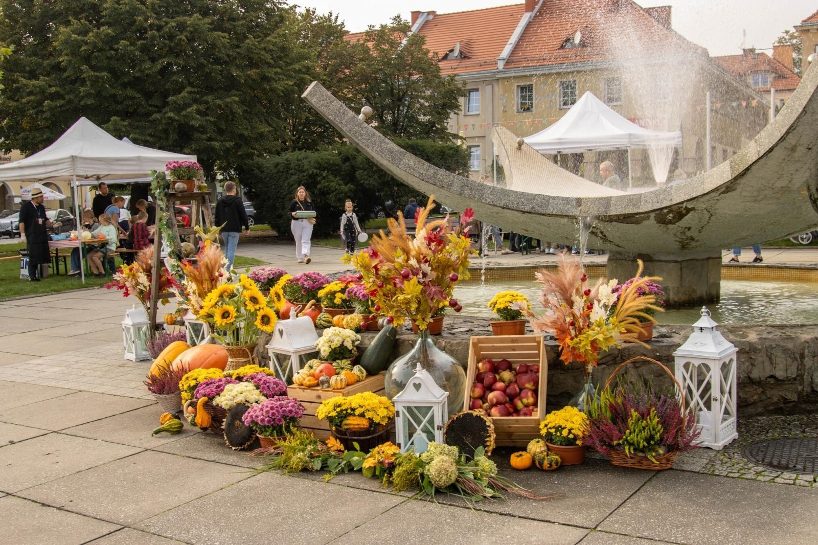 Zdjęcie w galerii na portalu naszwodzislaw.com: DzieJesie(ń) Festiwal w Wodzisławiu Śląskim. Święto jesieni pełne atrakcji [FOTO] wiadomości z regionu