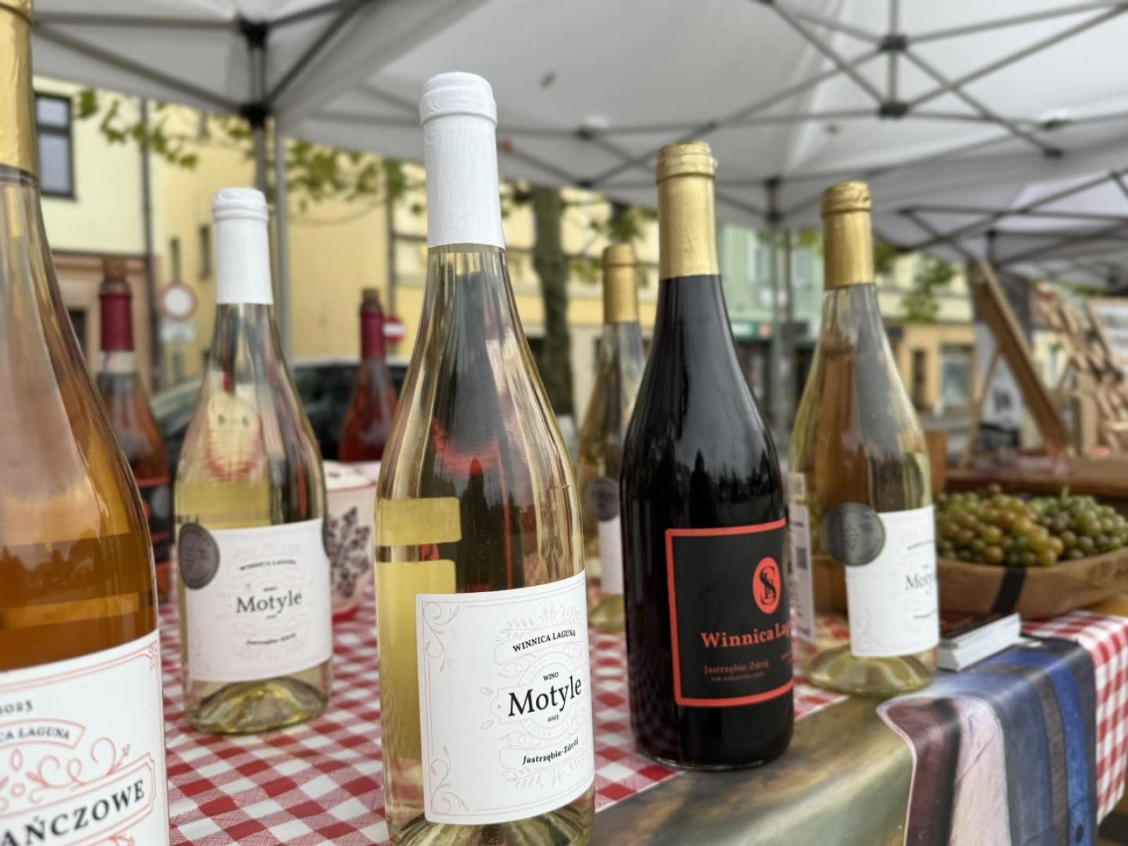 Zdjęcie w galerii na portalu naszwodzislaw.com: DzieJesie(ń) Festiwal w Wodzisławiu Śląskim. Święto jesieni pełne atrakcji [FOTO] wiadomości z regionu