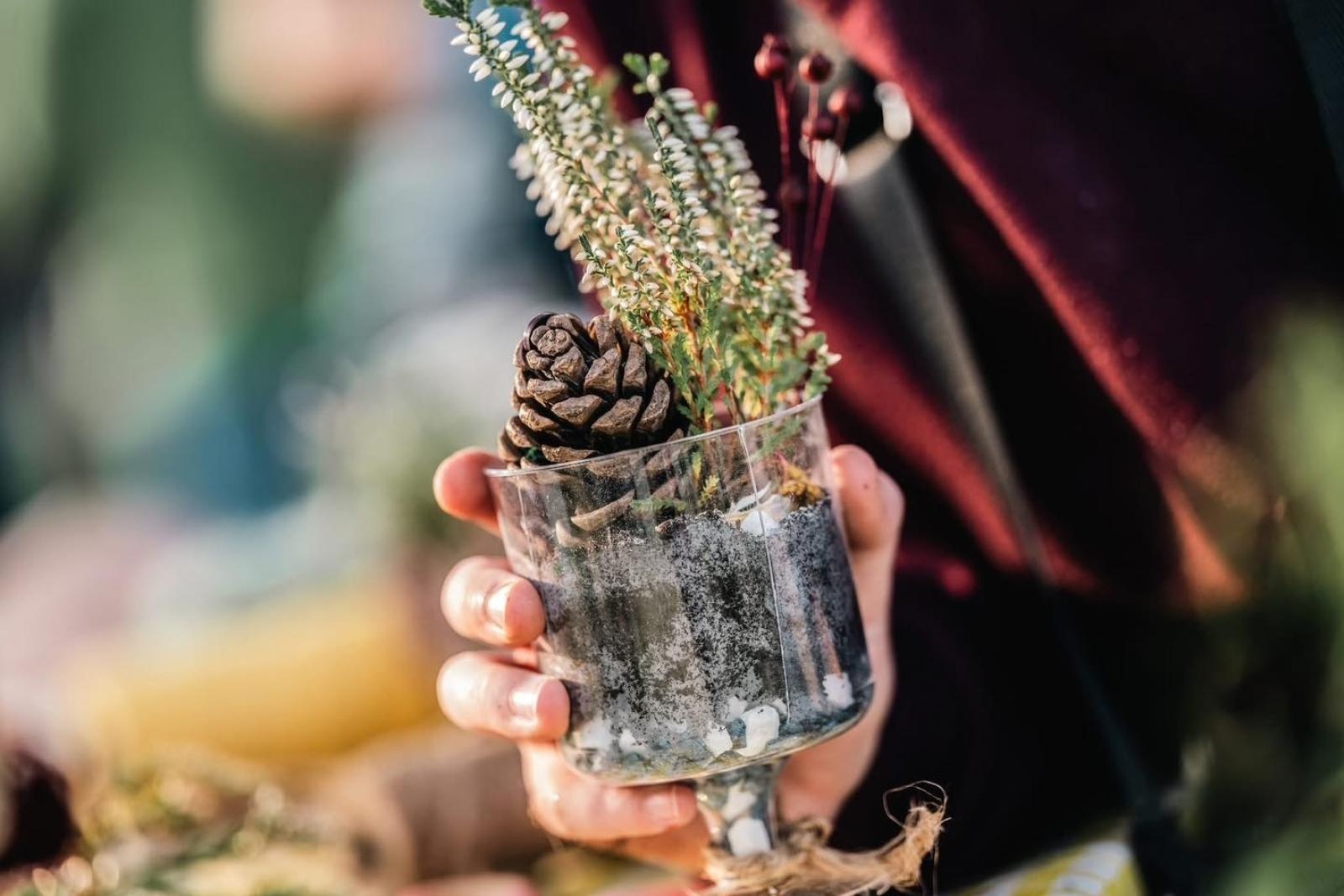 Zdjęcie w galerii na portalu naszwodzislaw.com: DzieJesie(ń) Festiwal w Wodzisławiu Śląskim. Święto jesieni pełne atrakcji [FOTO] wiadomości z regionu