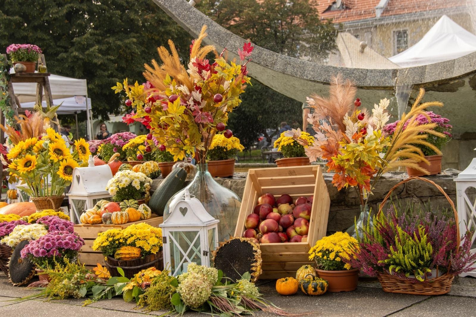 Zdjęcie w galerii na portalu naszwodzislaw.com: DzieJesie(ń) Festiwal w Wodzisławiu Śląskim. Święto jesieni pełne atrakcji [FOTO] wiadomości z regionu