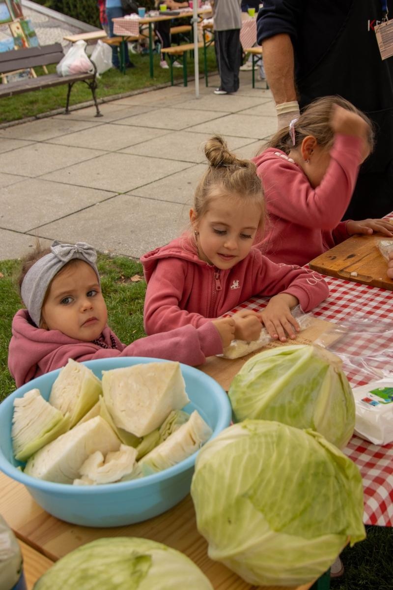 Zdjęcie w galerii na portalu naszwodzislaw.com: DzieJesie(ń) Festiwal w Wodzisławiu Śląskim. Święto jesieni pełne atrakcji [FOTO] wiadomości z regionu