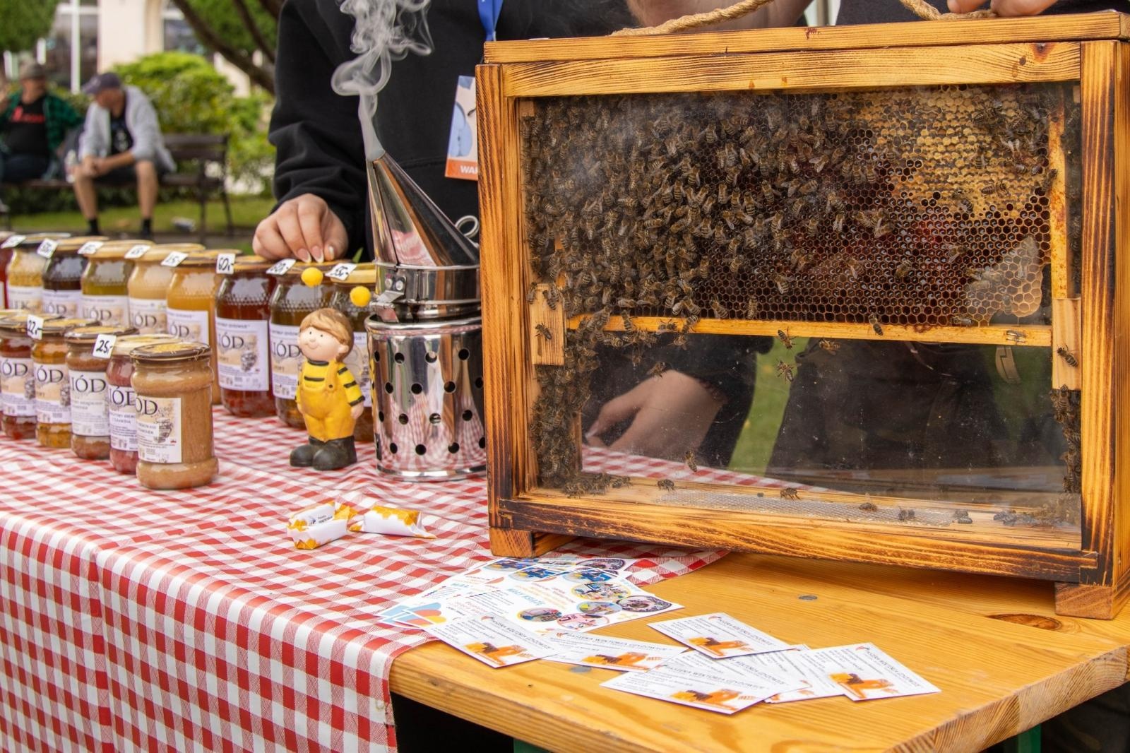 Zdjęcie w galerii na portalu naszwodzislaw.com: DzieJesie(ń) Festiwal w Wodzisławiu Śląskim. Święto jesieni pełne atrakcji [FOTO] wiadomości z regionu