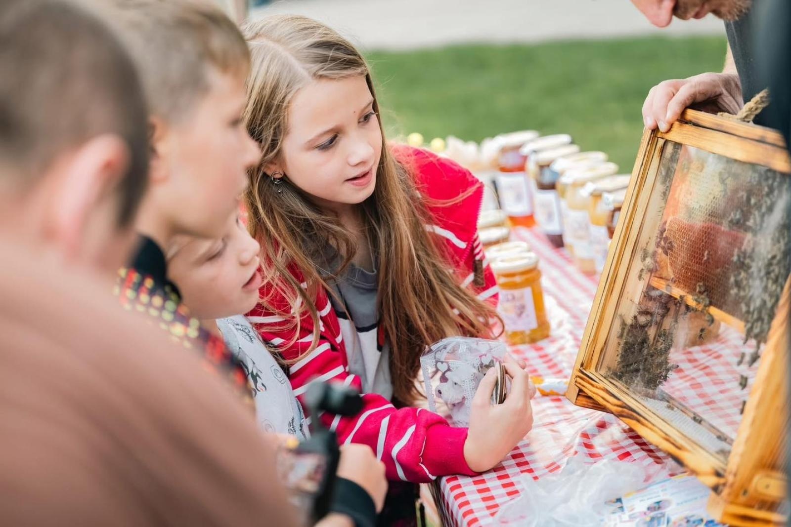 Zdjęcie w galerii na portalu naszwodzislaw.com: DzieJesie(ń) Festiwal w Wodzisławiu Śląskim. Święto jesieni pełne atrakcji [FOTO] wiadomości z regionu
