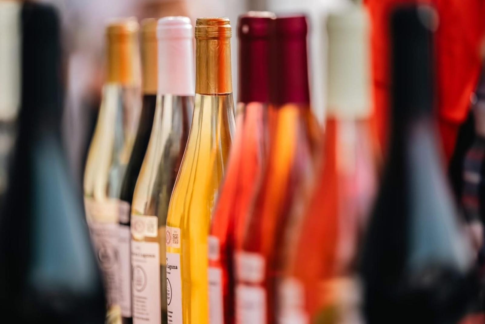 Zdjęcie w galerii na portalu naszwodzislaw.com: DzieJesie(ń) Festiwal w Wodzisławiu Śląskim. Święto jesieni pełne atrakcji [FOTO] wiadomości z regionu