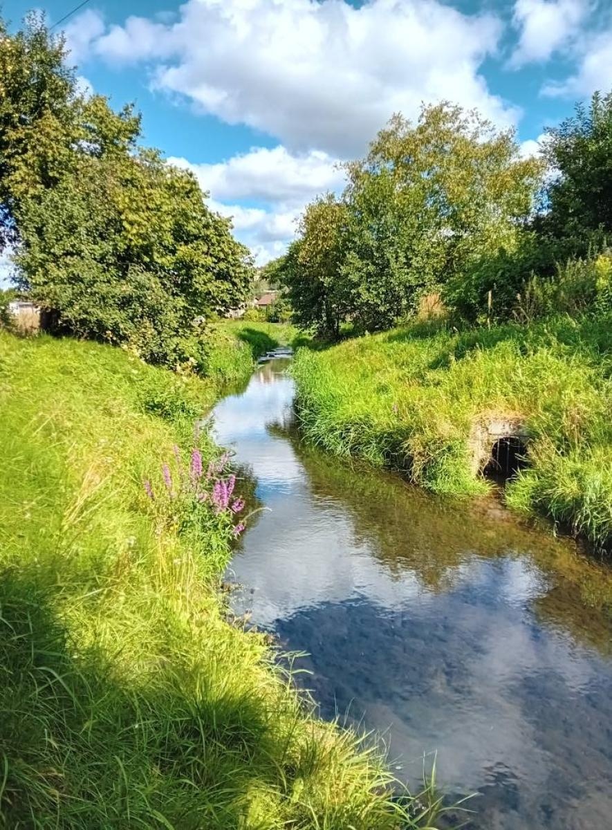 Zdjęcie w galerii na portalu naszwodzislaw.com: Stowarzyszenie Wodzisław 2.0 kontynuuje akcję Czysta Leśnica i apeluje do prezydenta wiadomości z regionu