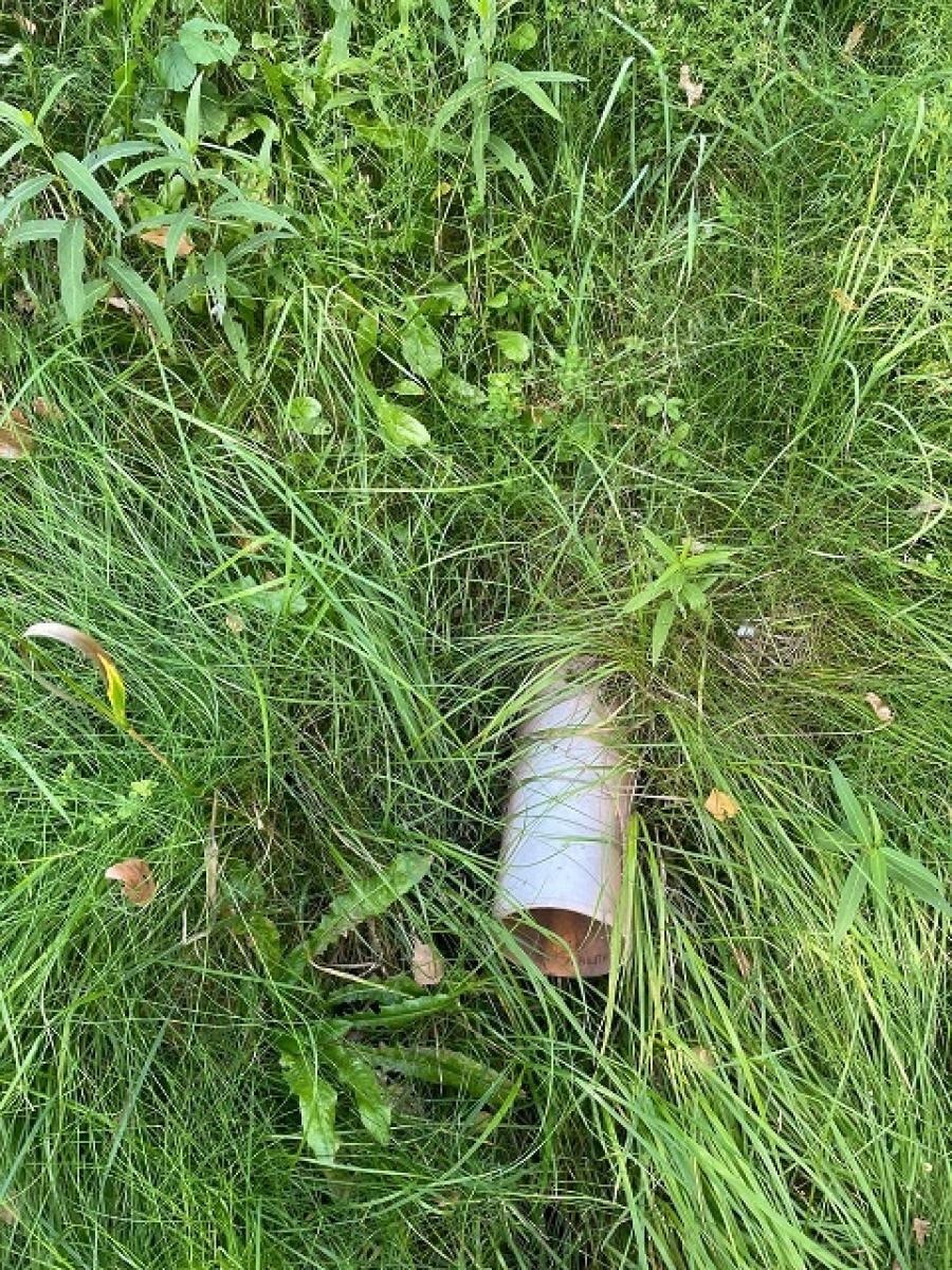 Zdjęcie w galerii na portalu naszwodzislaw.com: Stowarzyszenie Wodzisław 2.0 kontynuuje akcję Czysta Leśnica i apeluje do prezydenta wiadomości z regionu