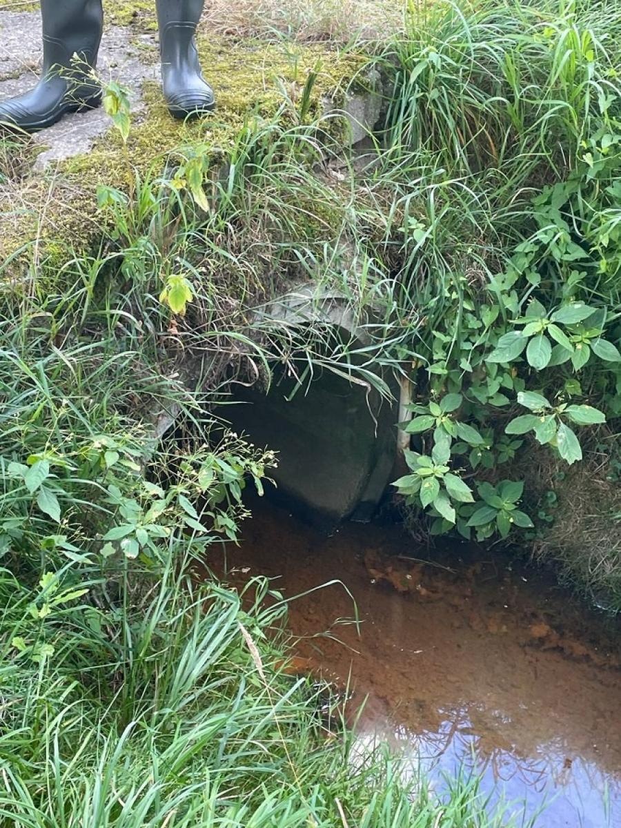 Zdjęcie w galerii na portalu naszwodzislaw.com: Stowarzyszenie Wodzisław 2.0 kontynuuje akcję Czysta Leśnica i apeluje do prezydenta wiadomości z regionu