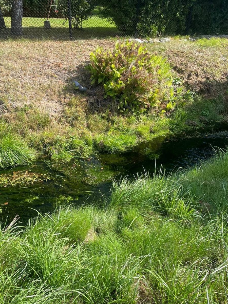 Zdjęcie w galerii na portalu naszwodzislaw.com: Stowarzyszenie Wodzisław 2.0 kontynuuje akcję Czysta Leśnica i apeluje do prezydenta wiadomości z regionu