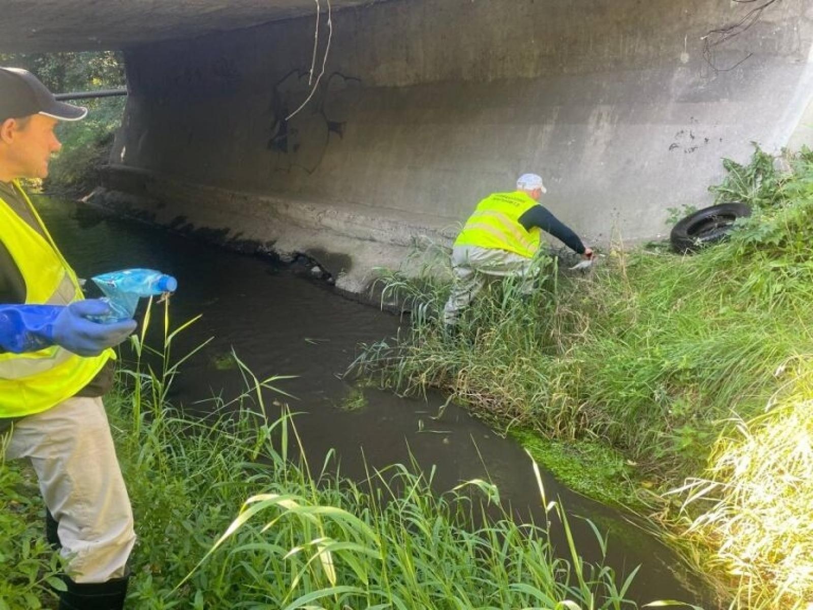 Zdjęcie w galerii na portalu naszwodzislaw.com: Stowarzyszenie Wodzisław 2.0 kontynuuje akcję Czysta Leśnica i apeluje do prezydenta wiadomości z regionu