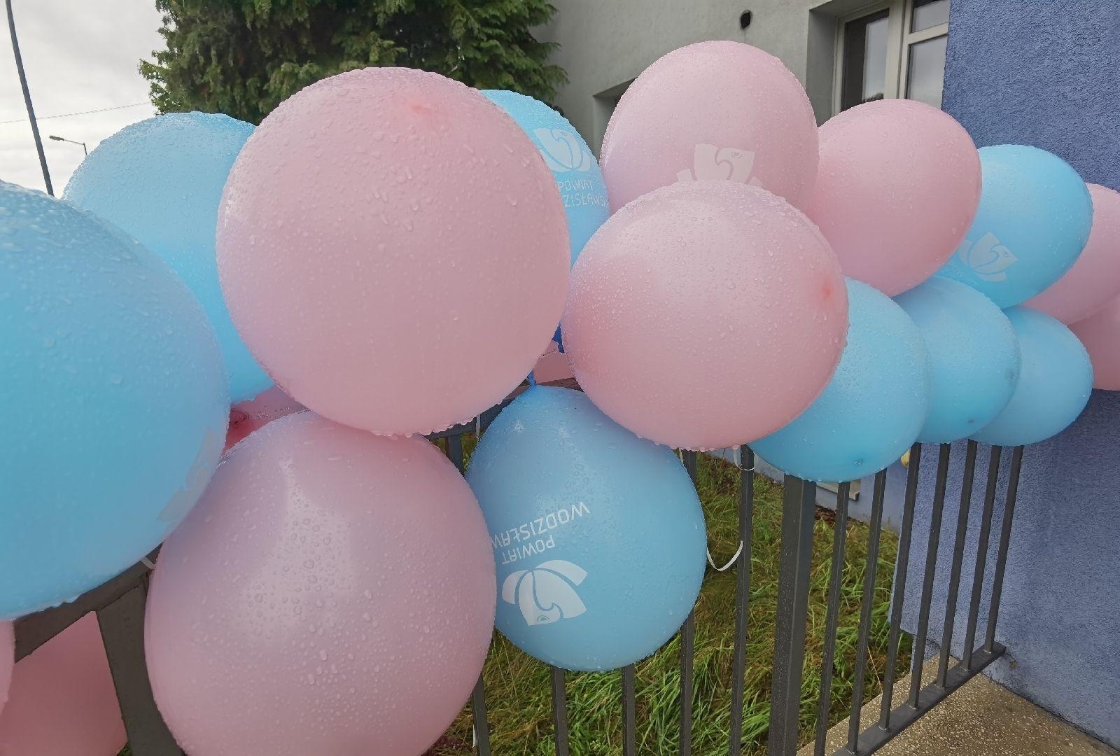 Zdjęcie w galerii na portalu naszwodzislaw.com: Tłumy na Dniu Otwartym Wodzisławskiej Porodówki [FOTO] wiadomości z regionu