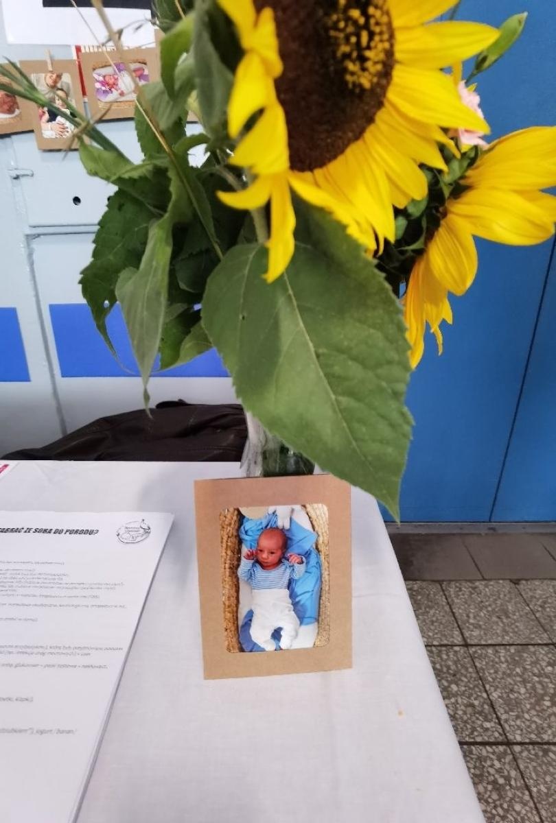 Zdjęcie w galerii na portalu naszwodzislaw.com: Tłumy na Dniu Otwartym Wodzisławskiej Porodówki [FOTO] wiadomości z regionu