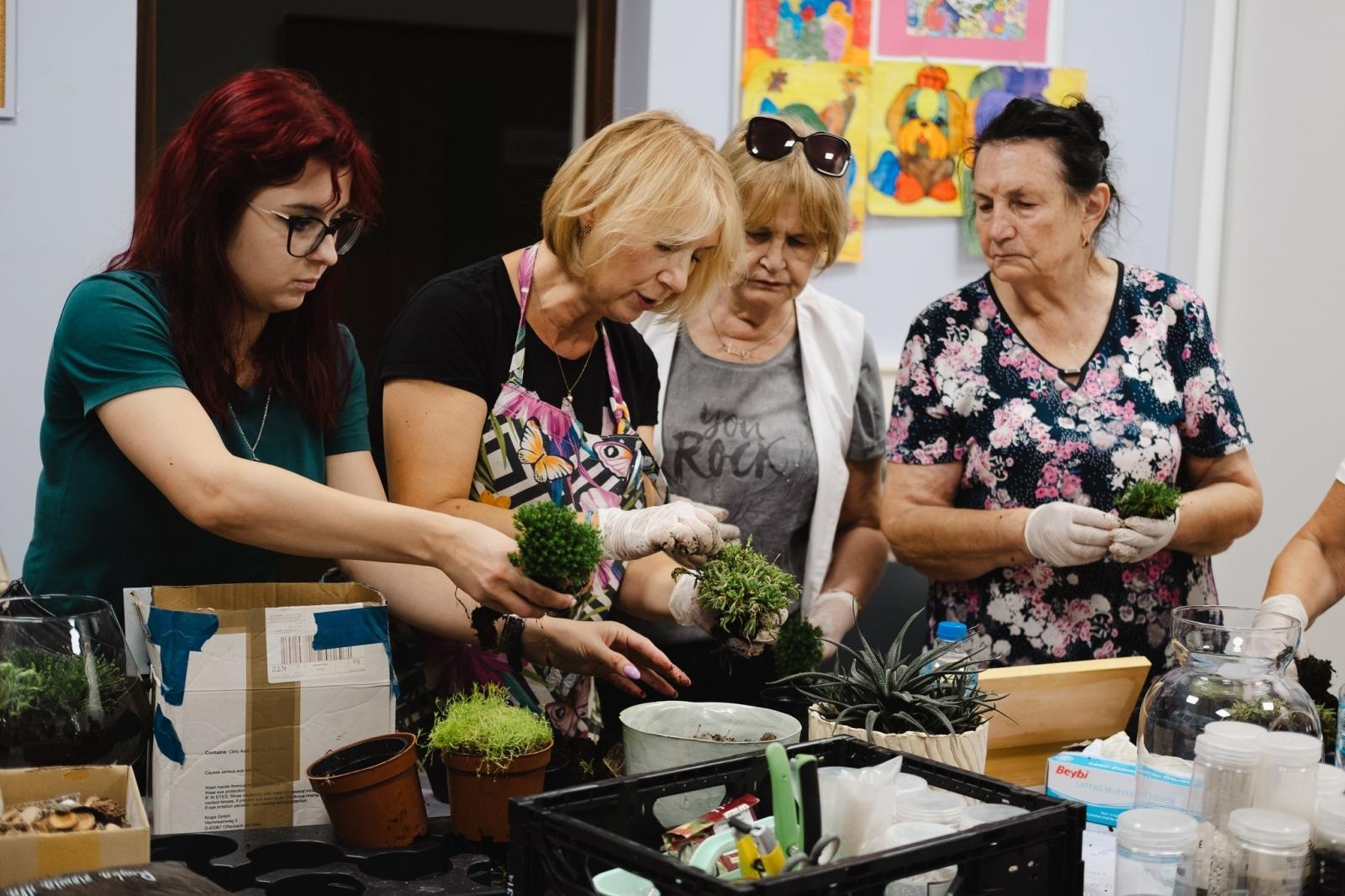 Zdjęcie w galerii na portalu naszwodzislaw.com: Projekt IntegrujeMY. Ogrody Talentów w pełnym rozkwicie [FOTO] wiadomości z regionu