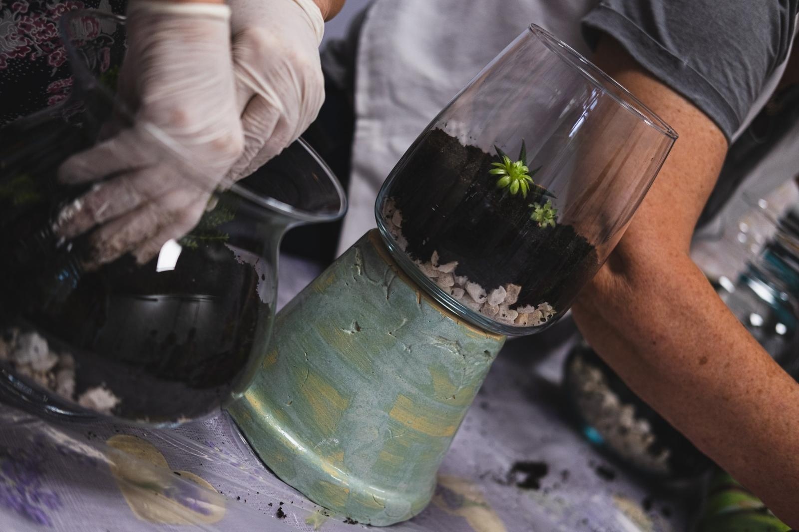 Zdjęcie w galerii na portalu naszwodzislaw.com: Projekt IntegrujeMY. Ogrody Talentów w pełnym rozkwicie [FOTO] wiadomości z regionu