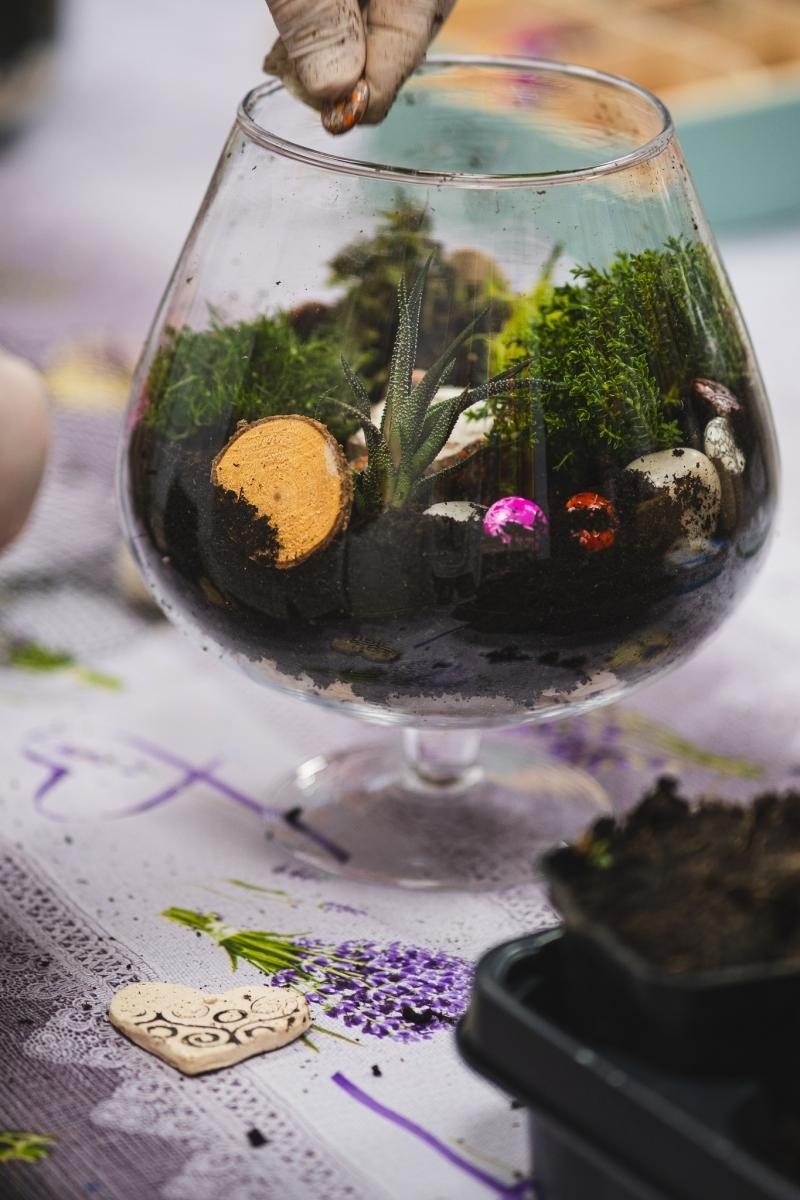 Zdjęcie w galerii na portalu naszwodzislaw.com: Projekt IntegrujeMY. Ogrody Talentów w pełnym rozkwicie [FOTO] wiadomości z regionu