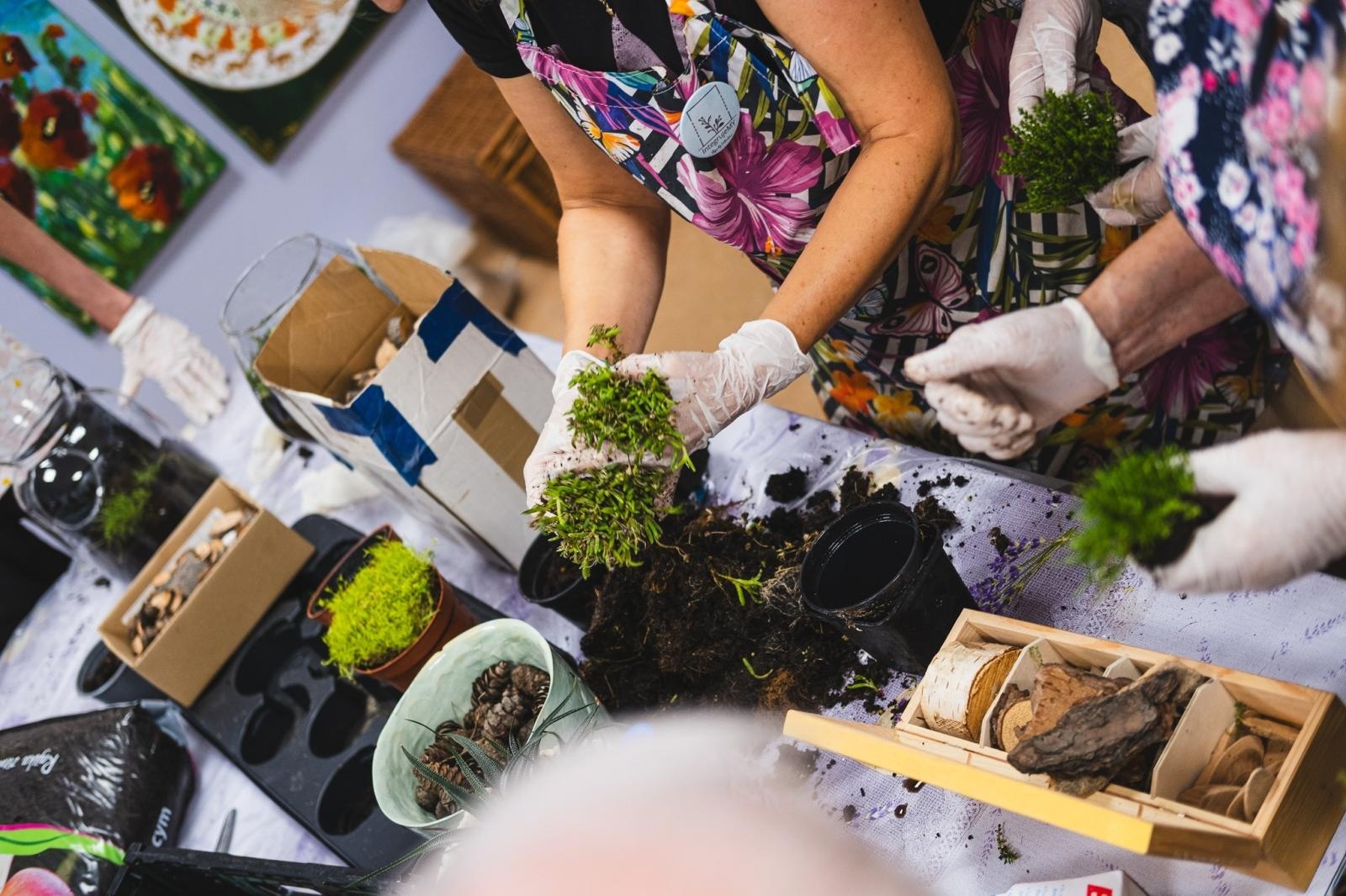 Zdjęcie w galerii na portalu naszwodzislaw.com: Projekt IntegrujeMY. Ogrody Talentów w pełnym rozkwicie [FOTO] wiadomości z regionu
