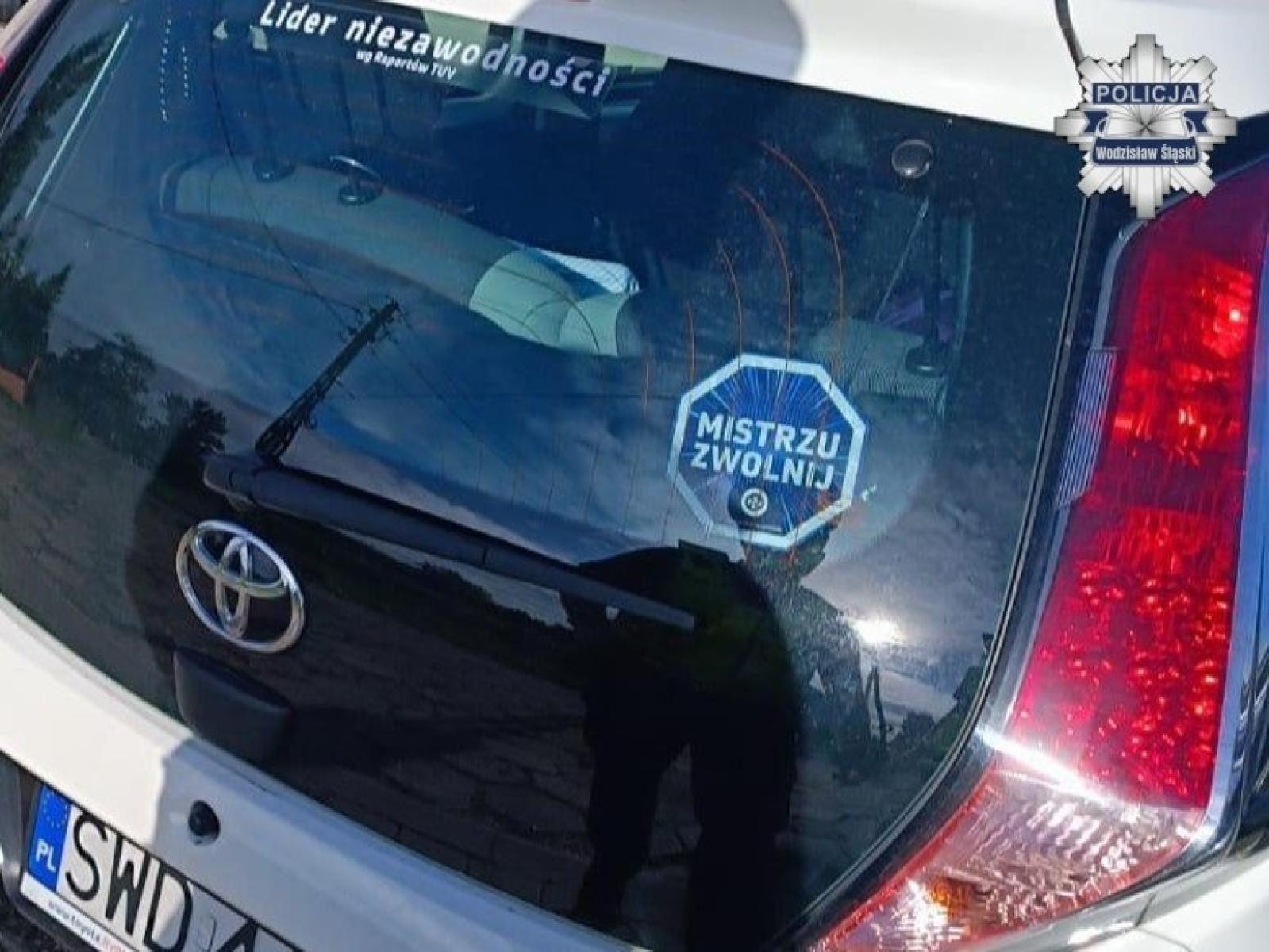 Zdjęcie w galerii na portalu naszwodzislaw.com: Mistrzu, zwolnij, bo już jesień wiadomości z regionu