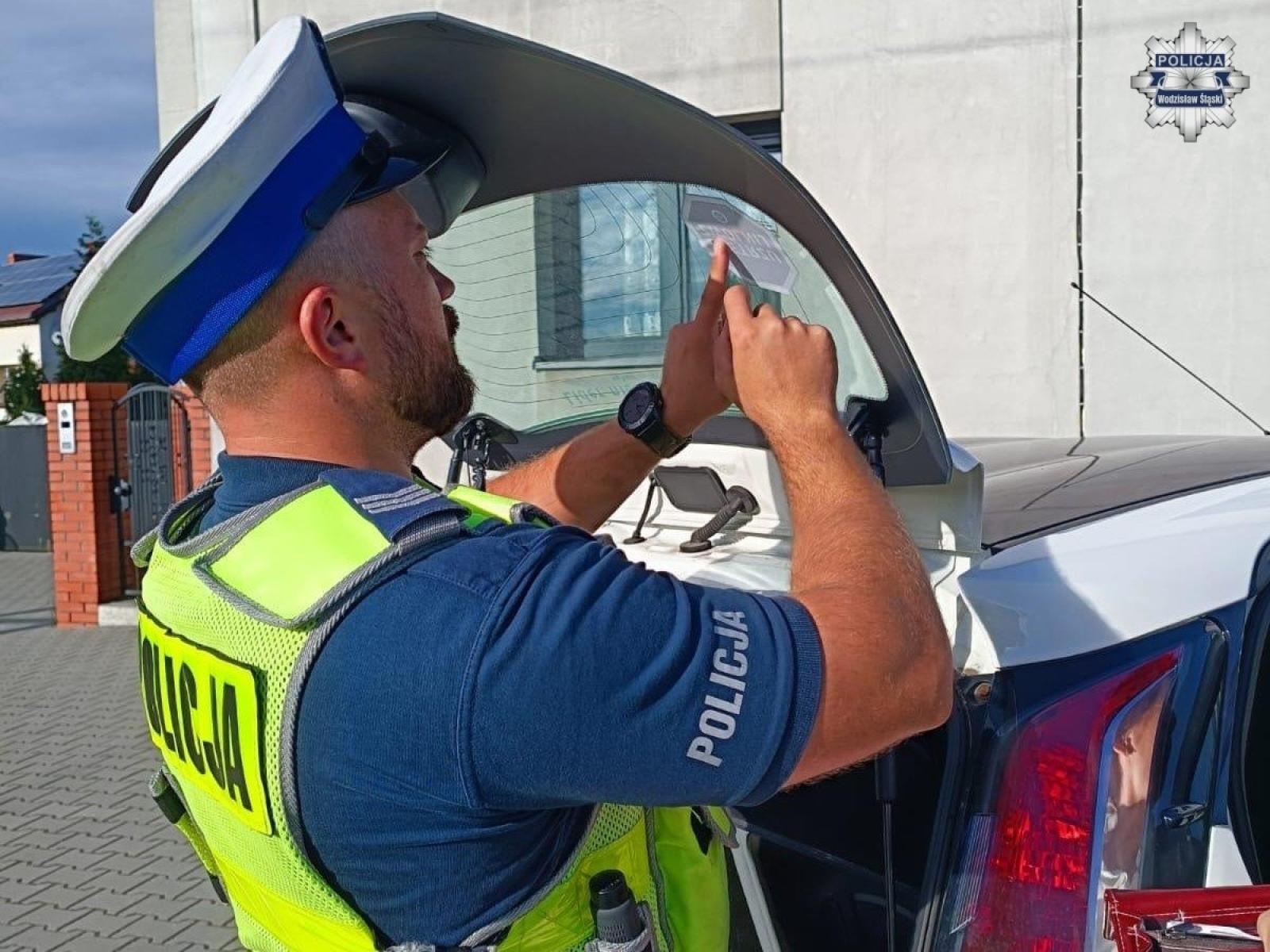 Zdjęcie w galerii na portalu naszwodzislaw.com: Mistrzu, zwolnij, bo już jesień wiadomości z regionu