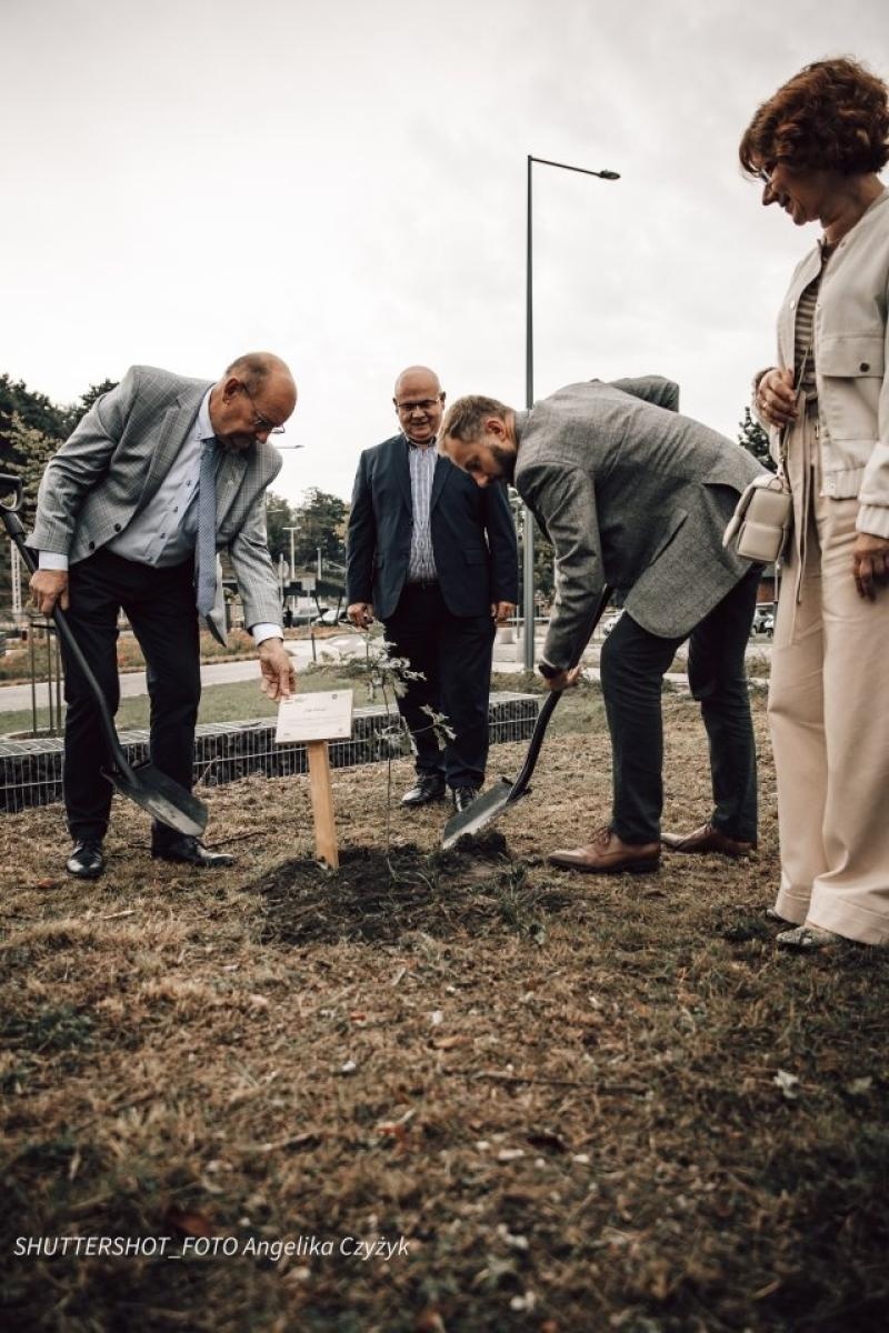 Zdjęcie w galerii na portalu naszwodzislaw.com: Rydułtowy dołączyły do akcji 80 Dębów Pokoju wiadomości z regionu