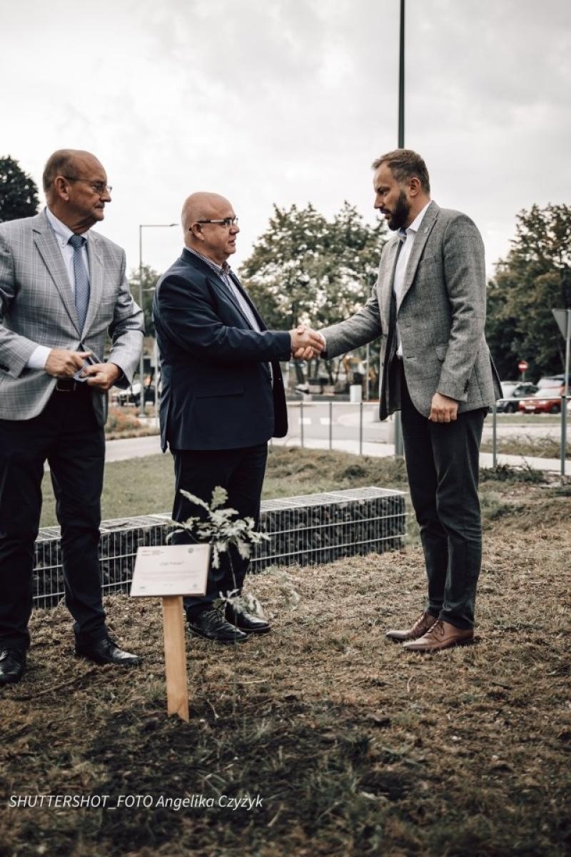 Zdjęcie w galerii na portalu naszwodzislaw.com: Rydułtowy dołączyły do akcji 80 Dębów Pokoju wiadomości z regionu