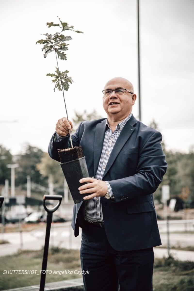 Zdjęcie w galerii na portalu naszwodzislaw.com: Rydułtowy dołączyły do akcji 80 Dębów Pokoju wiadomości z regionu