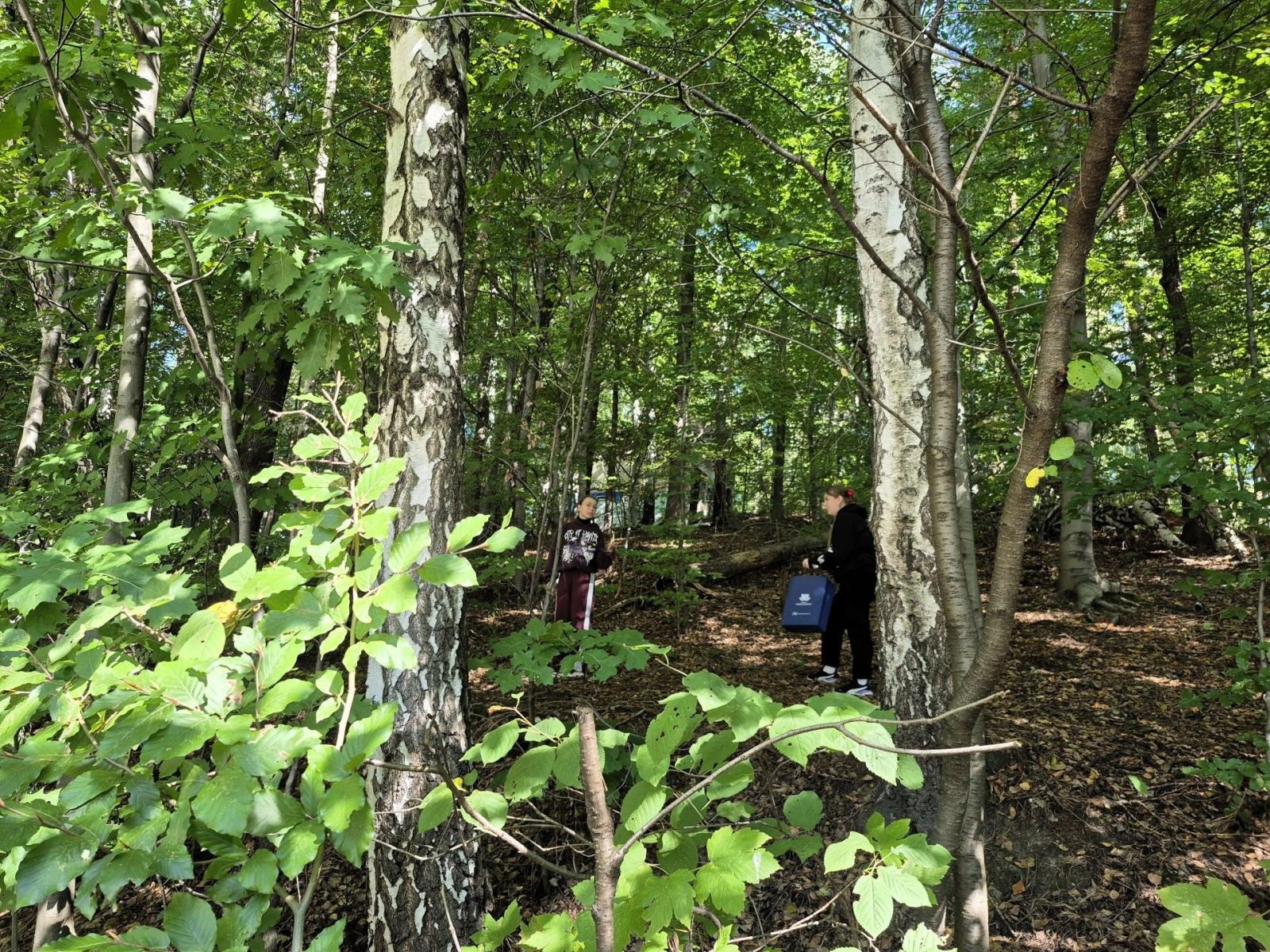 Zdjęcie w galerii na portalu naszwodzislaw.com: Powiat Express: Zielona misja. Pierwsze w historii powiatu wydarzenie ekologiczne [FOTO] wiadomości z regionu