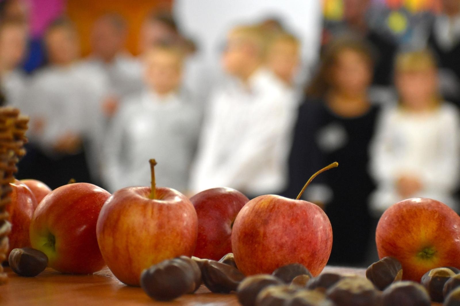 Zdjęcie w galerii na portalu naszwodzislaw.com: W jesiennych barwach rozpoczęli szkolną przygodę wiadomości z regionu