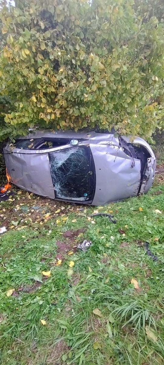 Zdjęcie w galerii na portalu naszwodzislaw.com: Ostrożności nigdy za wiele. Groźne zdarzenie na Czyżowickiej wiadomości z regionu