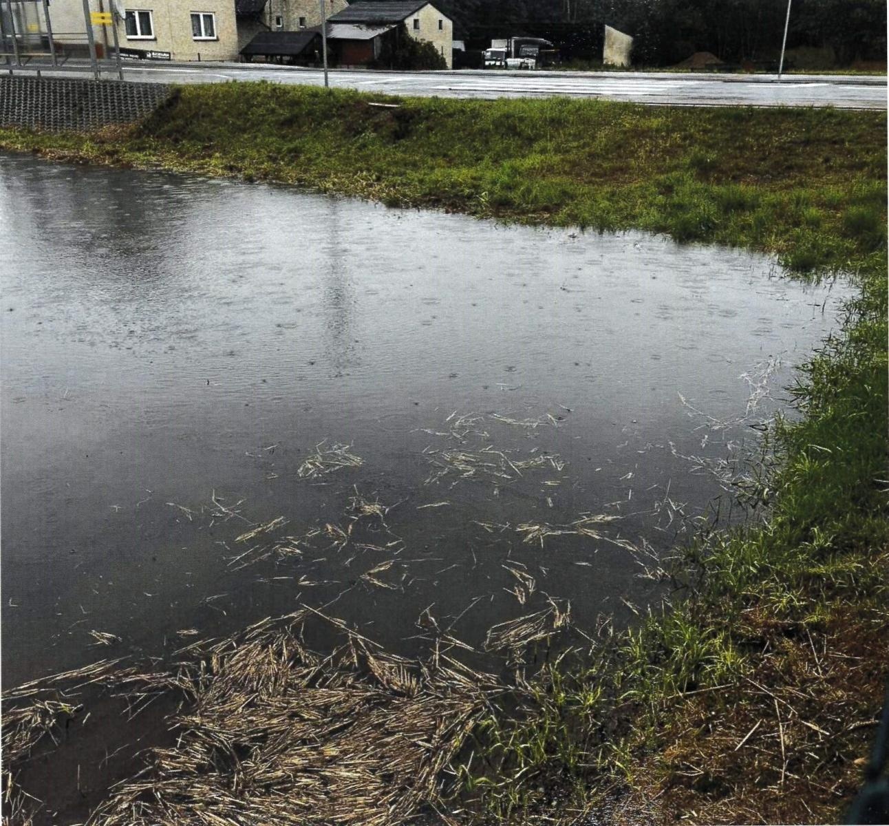 Zdjęcie w galerii na portalu naszwodzislaw.com: Radny Mariusz Blazy interweniuje w sprawie zalewania terenów przy ulicy Czarnieckiego wiadomości z regionu