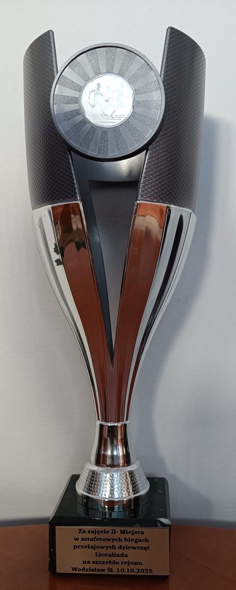 Zdjęcie w galerii na portalu naszwodzislaw.com: Sukces reprezentacji Zespołu Szkół Technicznych w biegach przełajowych wiadomości z regionu