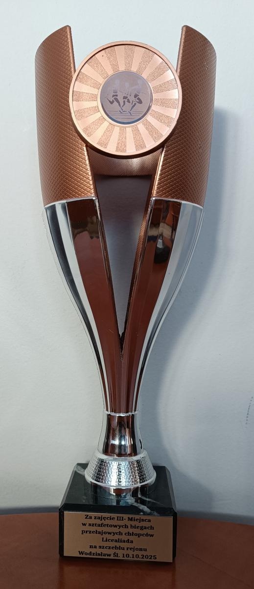 Zdjęcie w galerii na portalu naszwodzislaw.com: Sukces reprezentacji Zespołu Szkół Technicznych w biegach przełajowych wiadomości z regionu