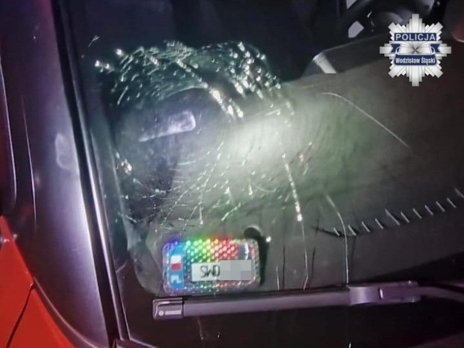 Zdjęcie w galerii na portalu naszwodzislaw.com: Postanowił wyładować frustrację na samochodzie, którym podróżowało małżeństwo wiadomości z regionu