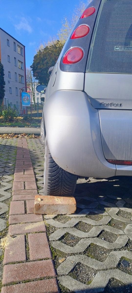 Zdjęcie w galerii na portalu naszwodzislaw.com: Dwie nietypowe interwencje wodzisławskich policjantów wiadomości z regionu