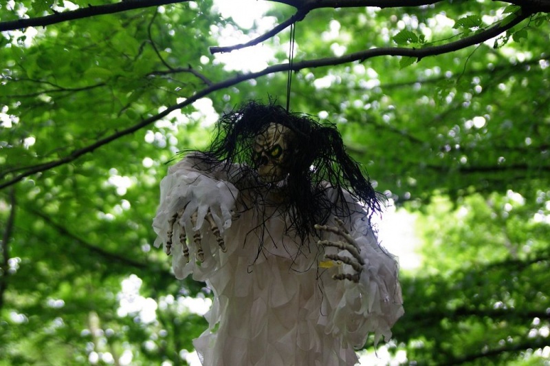 Zdjęcie w galerii na portalu naszwodzislaw.com: RPG, ziołolecznictwo i sztuka kochania wiadomości z regionu