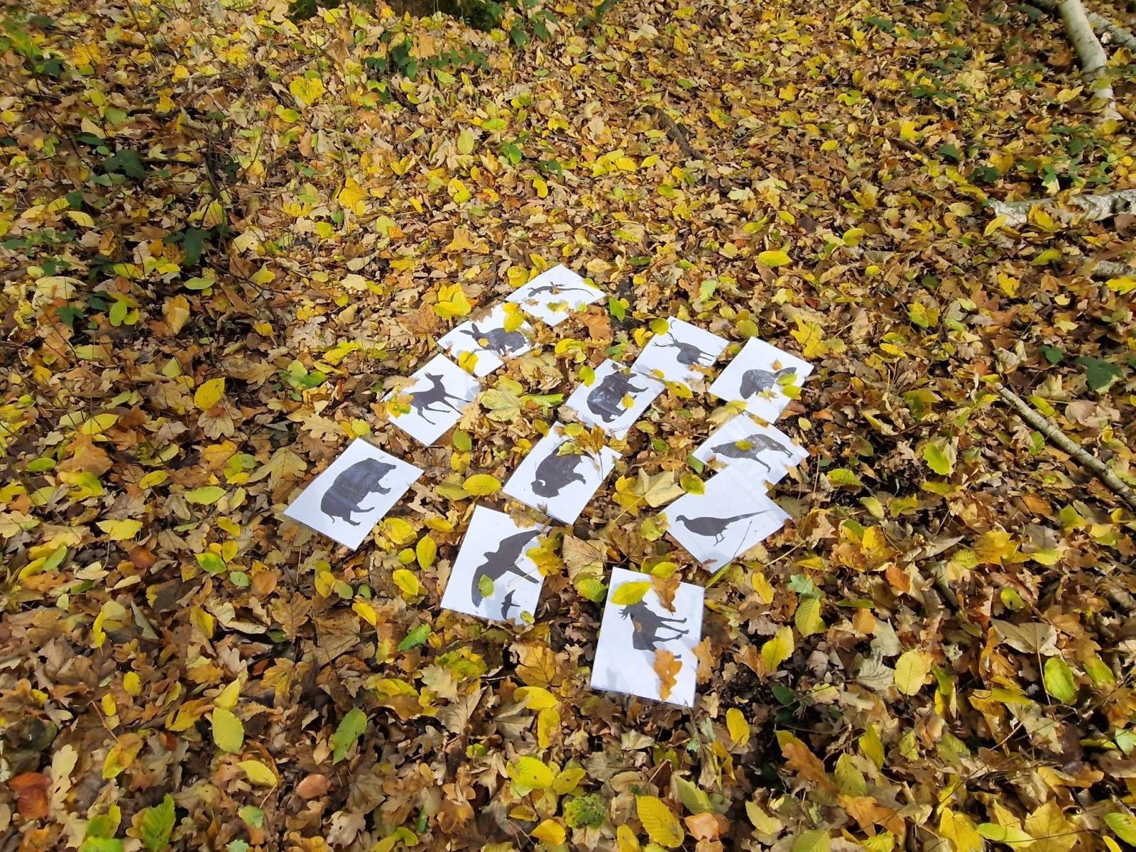 Zdjęcie w galerii na portalu naszwodzislaw.com: Harcerze na tropie przygody – Turniej Drużyn Leśnych i pierwsze Harce Drużyn Polowych w Wodzisławiu Śląskim wiadomości z regionu