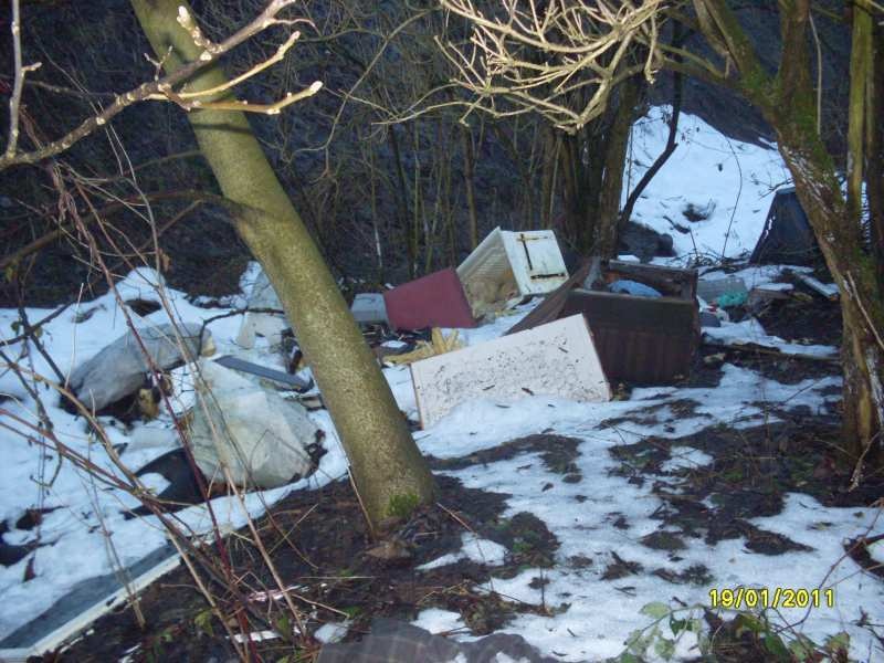 Zdjęcie w galerii na portalu naszwodzislaw.com: PKP posprzątały działkę wiadomości z regionu