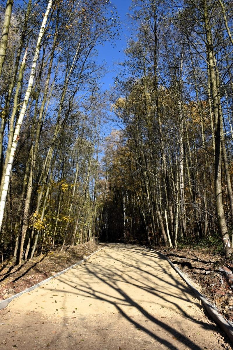 Zdjęcie w galerii na portalu naszwodzislaw.com: Łącznik Osiedla Batory i Rodzinnego Parku Rozrywki nabiera kształtów wiadomości z regionu