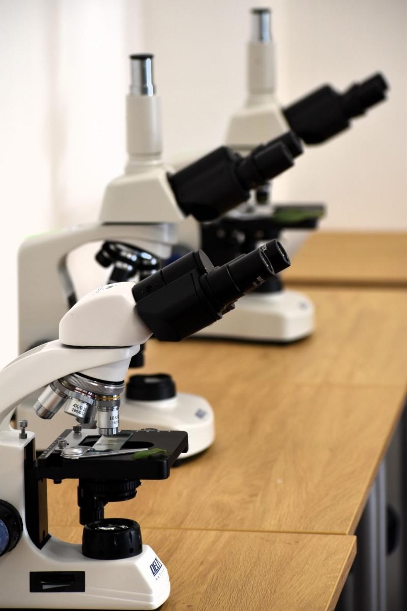 Zdjęcie w galerii na portalu naszwodzislaw.com: Dwie powiatowe szkoły mają nowoczesne Zielone Pracownie wiadomości z regionu