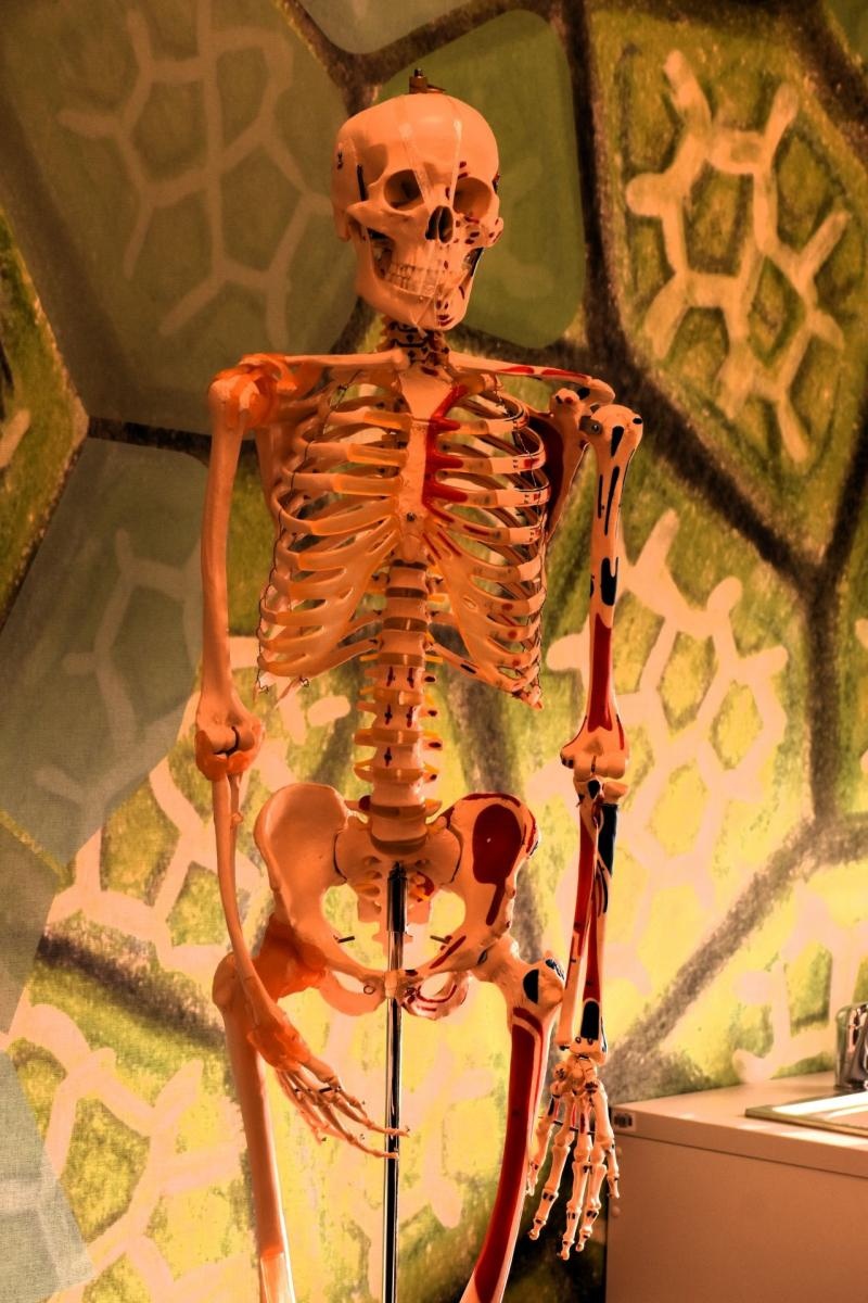 Zdjęcie w galerii na portalu naszwodzislaw.com: Dwie powiatowe szkoły mają nowoczesne Zielone Pracownie wiadomości z regionu