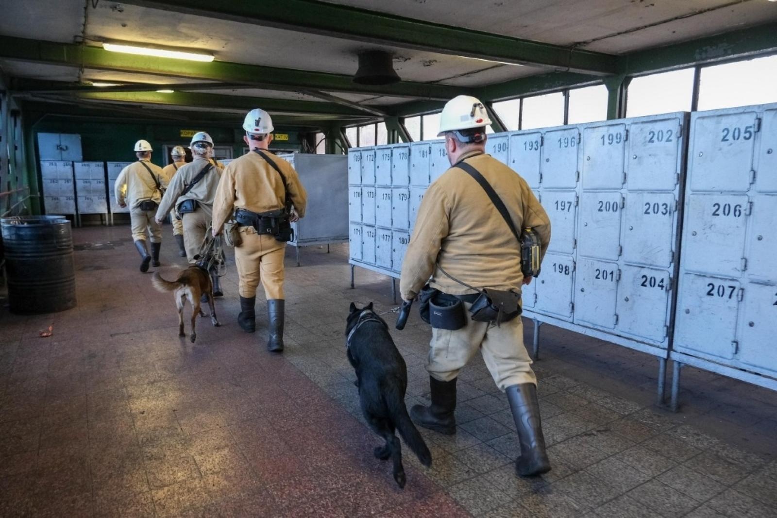 Zdjęcie w galerii na portalu naszwodzislaw.com: Szkolenie psów służbowych 1080 metrów pod ziemią wiadomości z regionu