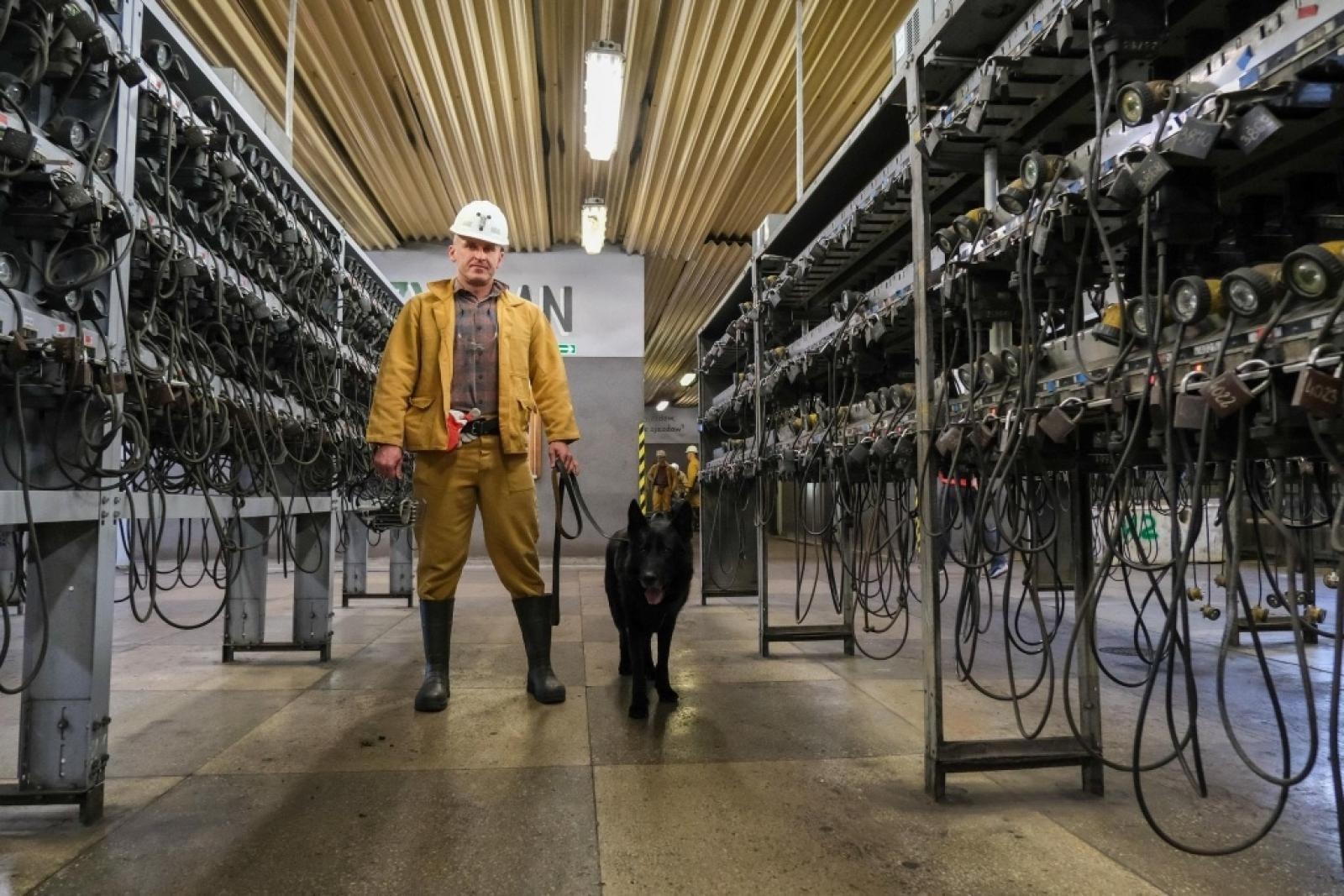 Zdjęcie w galerii na portalu naszwodzislaw.com: Szkolenie psów służbowych 1080 metrów pod ziemią wiadomości z regionu